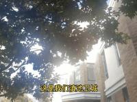 杏彩体育app-关于青岛更新杨瀚森租房现状！层高逼仄难站直，网友：打出身价换别墅的信息