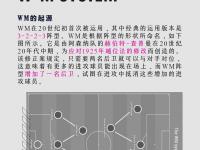 杏彩体育app-塔斯马尼亚联战术布置详解，主帅重点强调防守反击