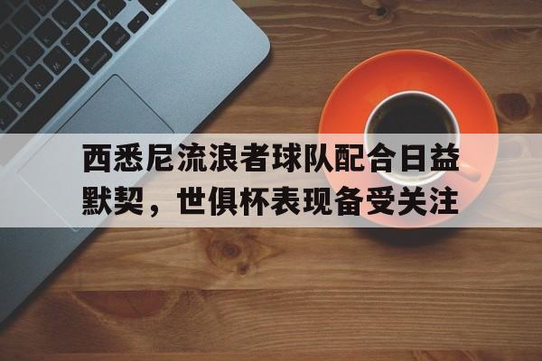 西悉尼流浪者球队配合日益默契，世俱杯表现备受关注的简单介绍