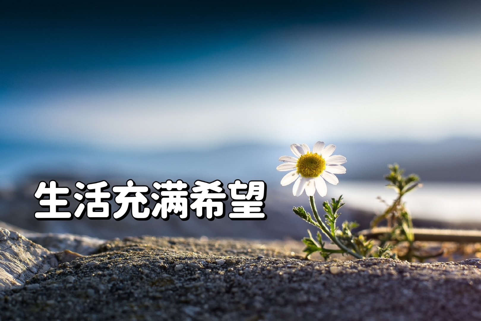 “最没希望的一年”，年底的S赛会是LPL的救命稻草吗？的简单介绍